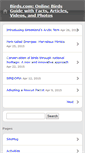 Mobile Screenshot of birds.com